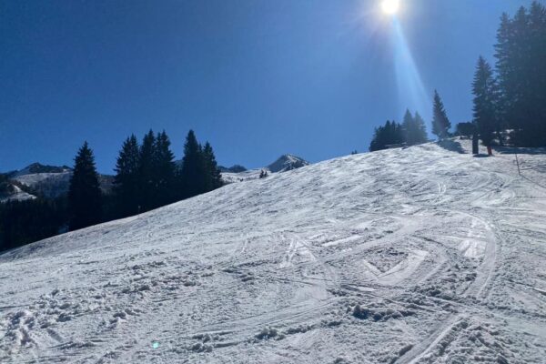 ski-11