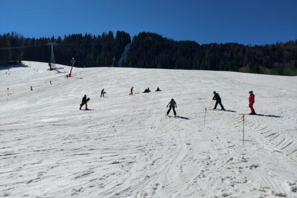 ski-12